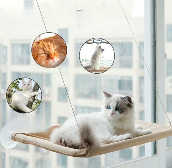 Cama Para Gatos Con Ventana y Ventosas