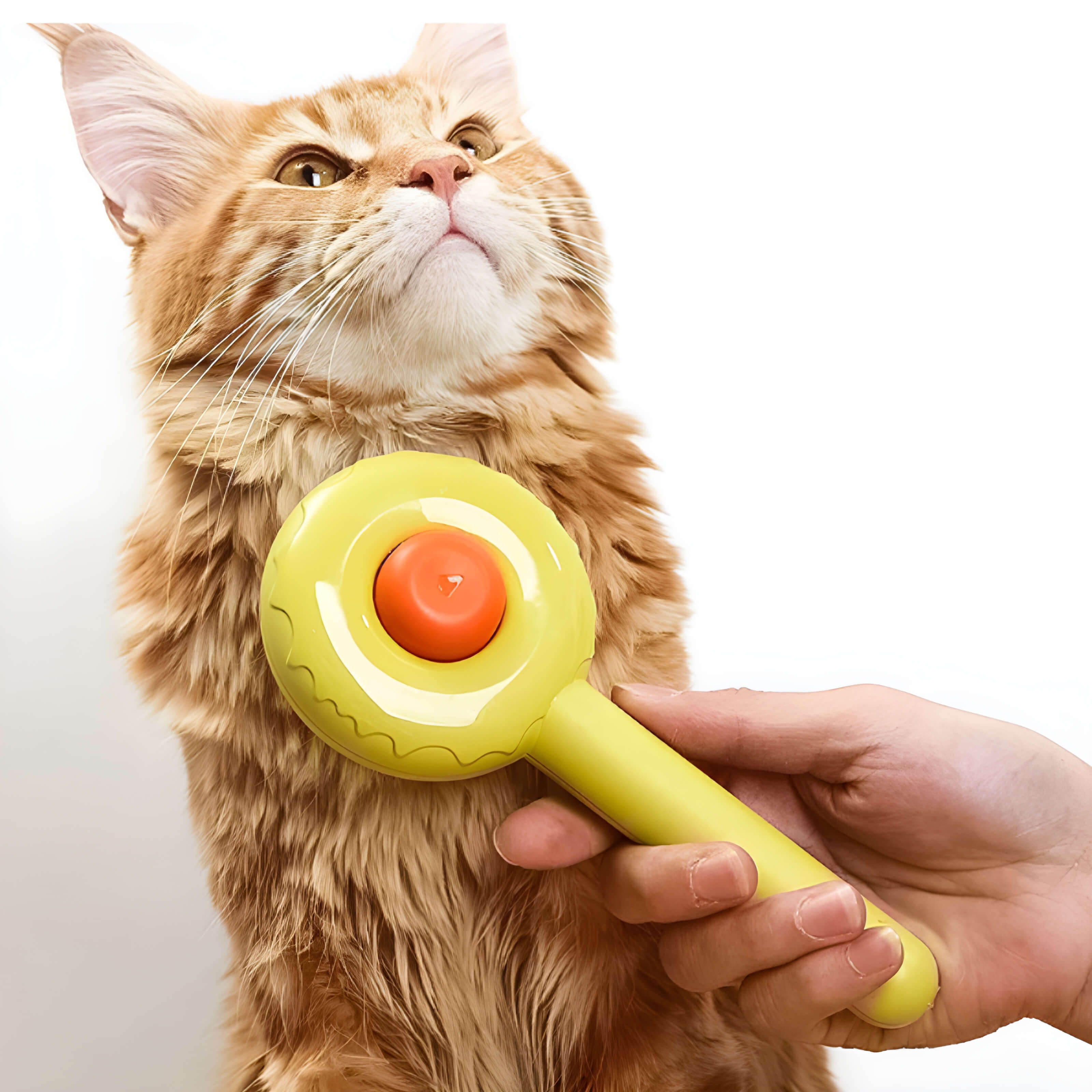 Cepillo Removedor de Pelo para Mascotas para Gatos y Perros