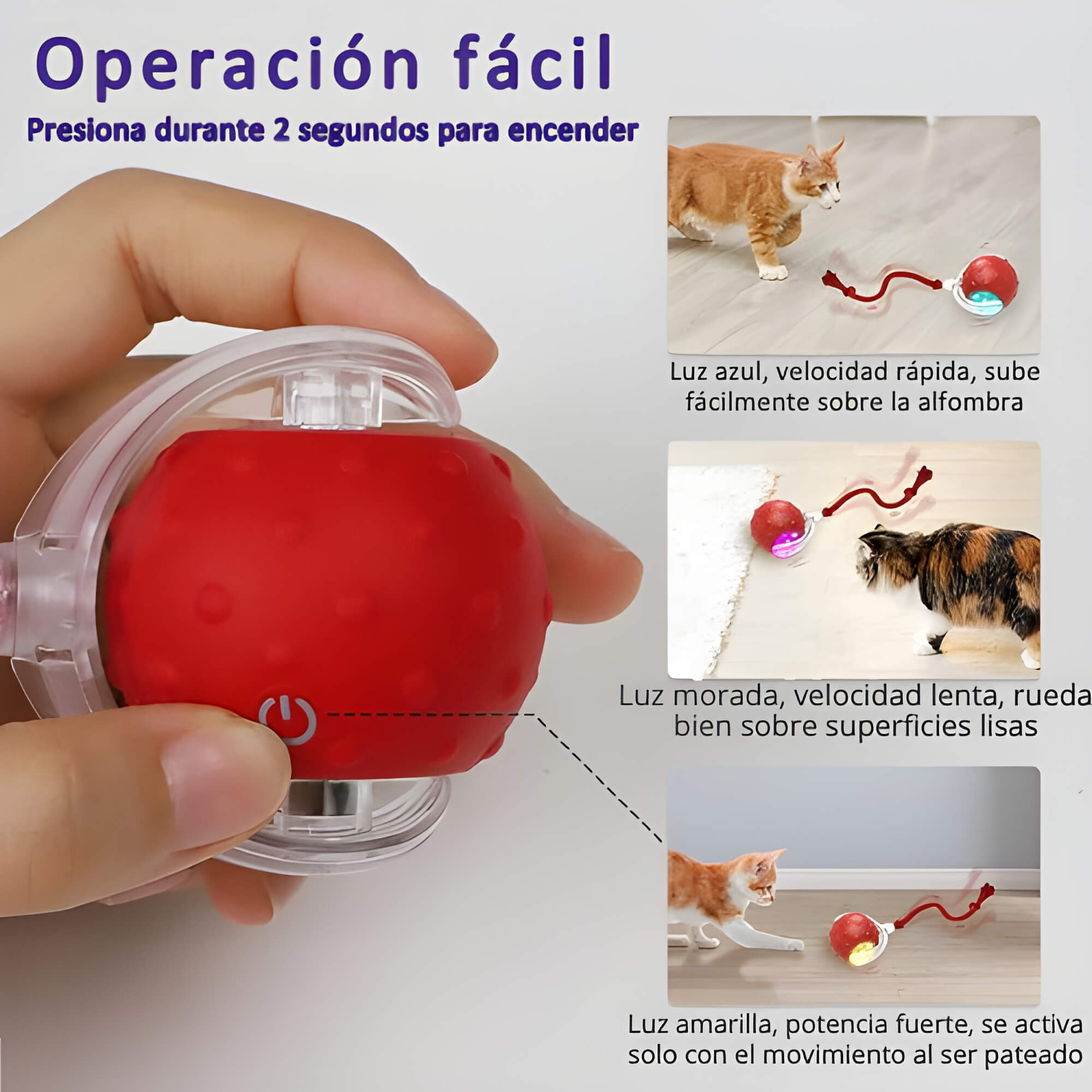 Pelota Divertida para Gatos Rebote y Persecución